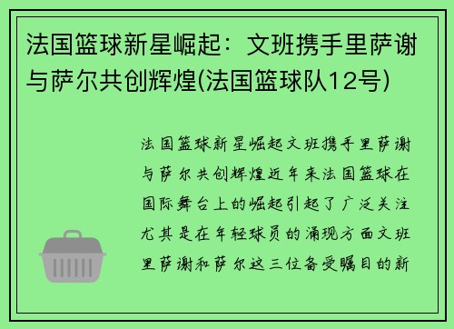 法国篮球新星崛起：文班携手里萨谢与萨尔共创辉煌(法国篮球队12号)